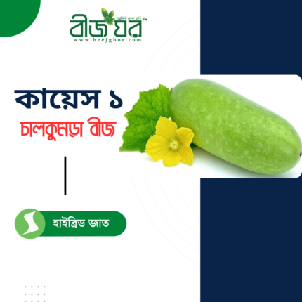 উচ্চ ফলনশীল কায়েস ১ চালকুমড়া বীজ (হাইব্রিড)