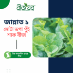 উচ্চ ফলনশীল জান্নাত ১ মোটা ডগা পুঁই শাক বীজ