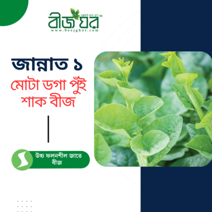 উচ্চ ফলনশীল জান্নাত ১ মোটা ডগা পুঁই শাক বীজ