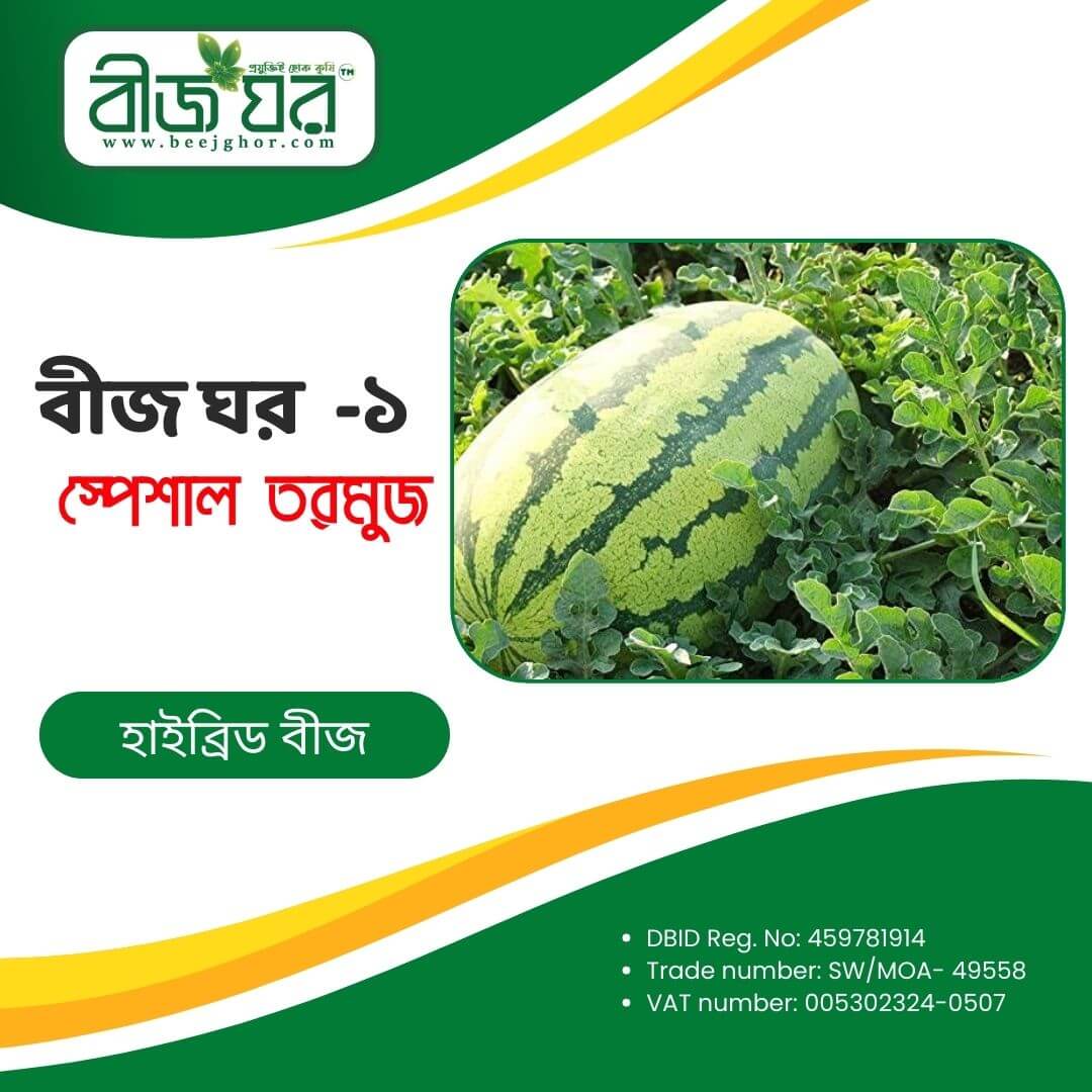 উচ্চফলনশীল স্পেশাল তরমুজ বীজ (হাইব্রিড)