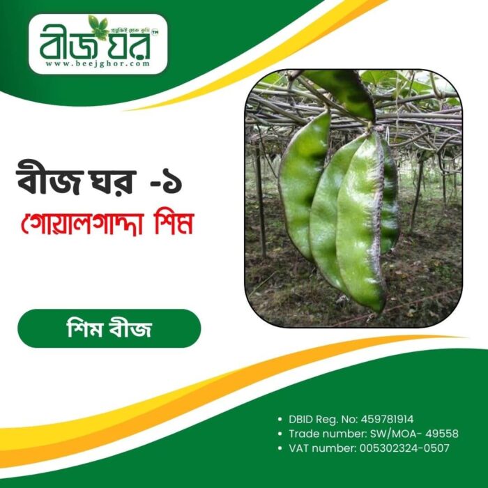 গোয়ালগাদ্দা শিম বীজ