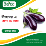 উচ্চ ফলনশীল কালো বড় বেগুন বীজ (হাইব্রিড)