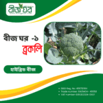 উচ্চ ফলনশীল ব্রকলি বীজ (হাইব্রিড)