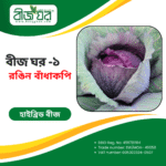 উচ্চফলনশীল রঙিন বাঁধাকপি বীজ (হাইব্রিড)