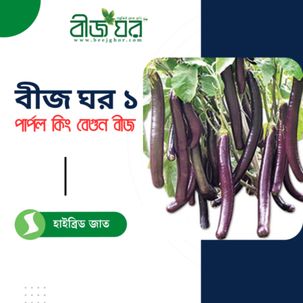 হাইব্রিড পার্পল কিং (লম্বা) বেগুন বীজ