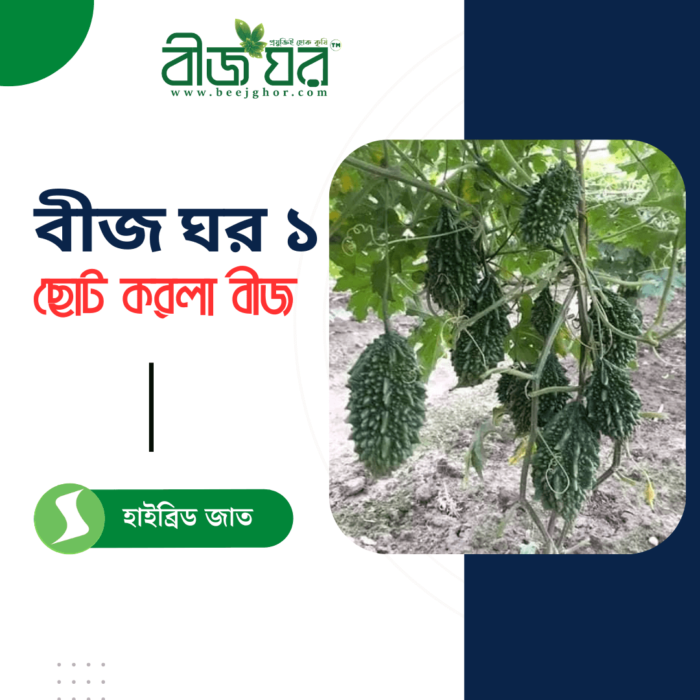 উচ্চ ফলনশীল ছোট তিত করলা বীজ (হাইব্রিড)