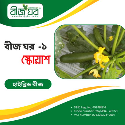 উচ্চ ফলনশীল স্কোয়াশ বীজ (হাইব্রিড)