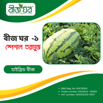 উচ্চ ফলনশীল বীজঘর ১ তরমুজ বীজ (হাইব্রিড)