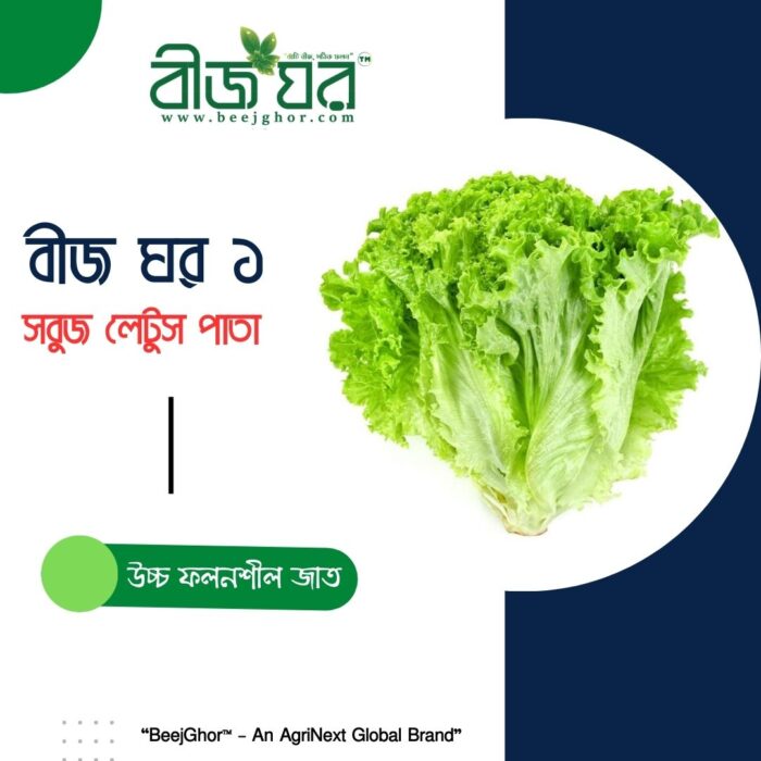 বীজ ঘর-১ সবুজ লেটুস পাতা বীজ