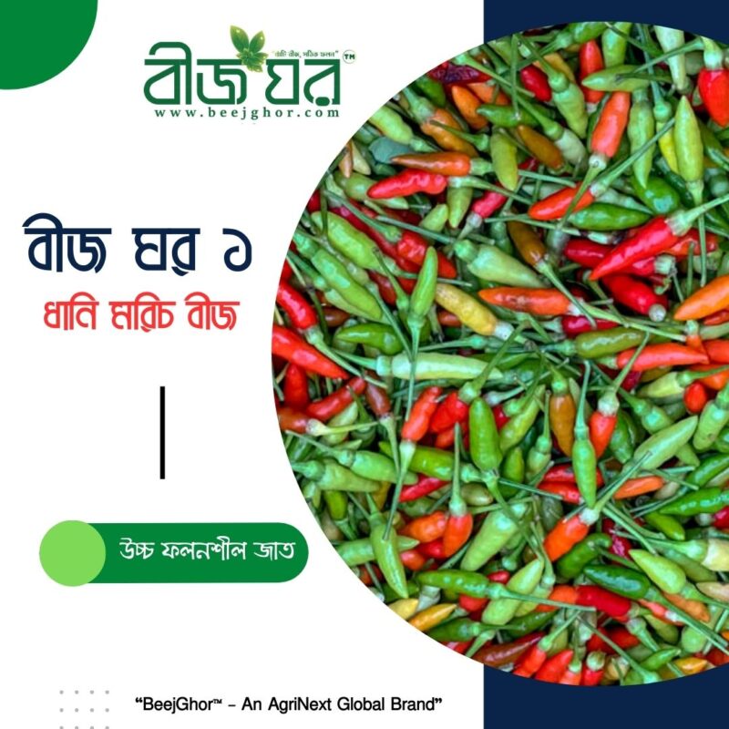 বীজ ঘর-১ ধানুয়া/ধানি মরিচ বীজ