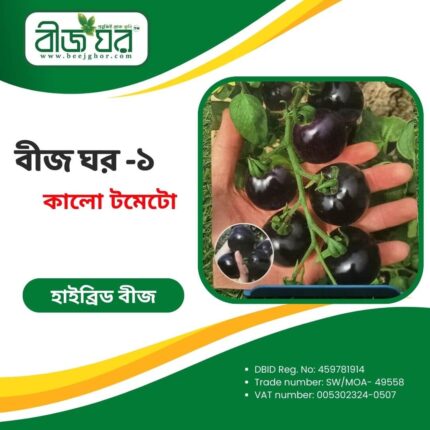 উচ্চফলনশীল কালো টমেটো বীজ (হাইব্রিড)
