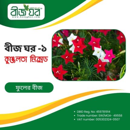 উচ্চফলনশীল কুঞ্জলতা ফুল বীজ (হাইব্রিড)
