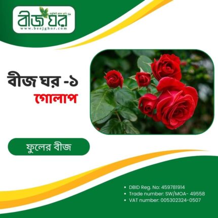 উচ্চফলনশীল গোলাপ ফুল বীজ (হাইব্রিড)