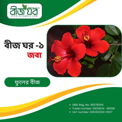 উচ্চফলনশীল জবা ফুল বীজ (হাইব্রিড)