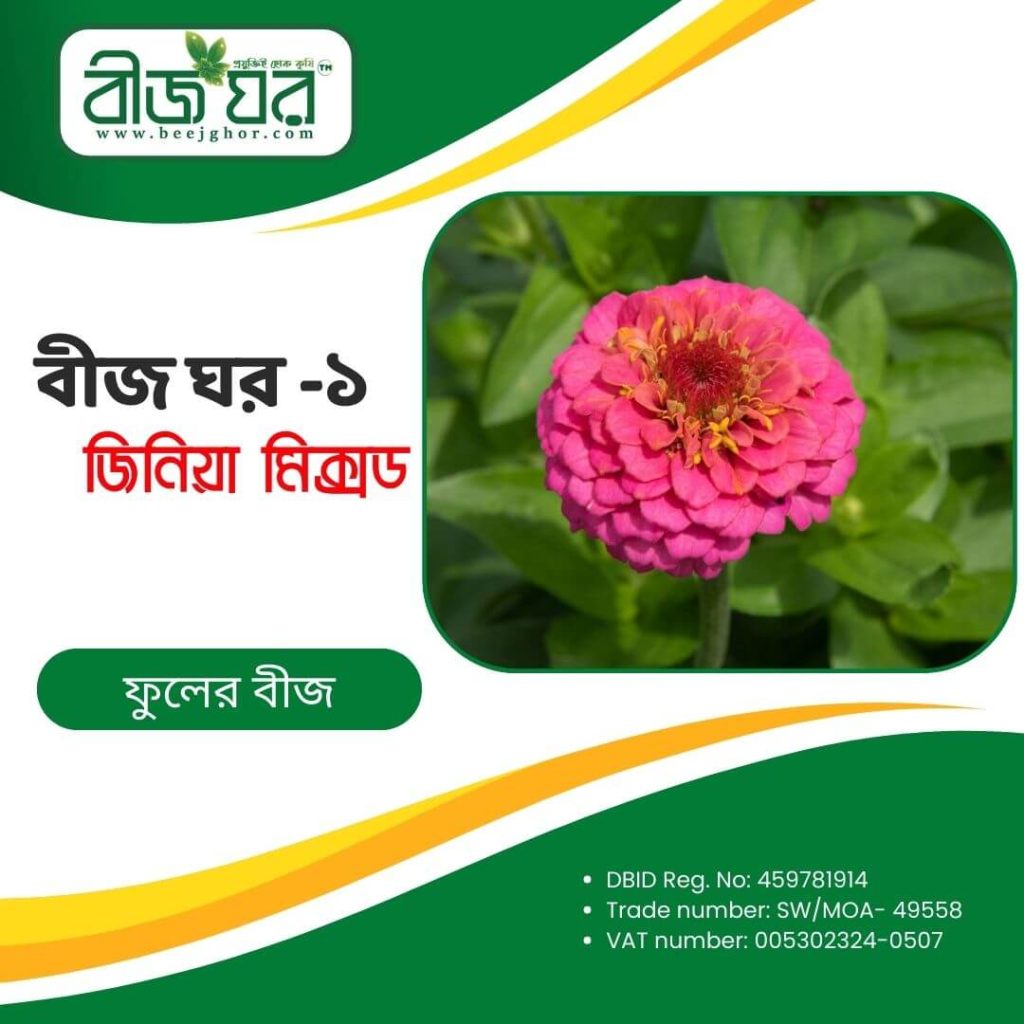 উচ্চফলনশীল জিনিয়া ফুল বীজ (হাইব্রিড)