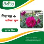 উচ্চফলনশীল ডালিয়া ফুল বীজ (হাইব্রিড)