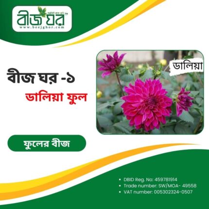 উচ্চফলনশীল ডালিয়া ফুল বীজ (হাইব্রিড)