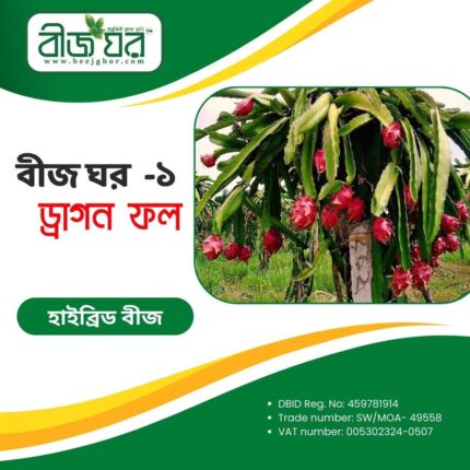 উচ্চফলনশীল ড্রাগন ফল বীজ (হাইব্রিড)