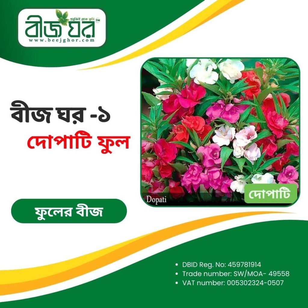 উচ্চফলনশীল দোপাটি ফুল বীজ (হাইব্রিড)