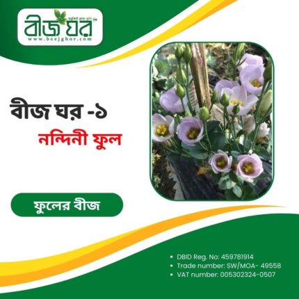 উচ্চফলনশীল নন্দিনী ফুল বীজ (হাইব্রিড)