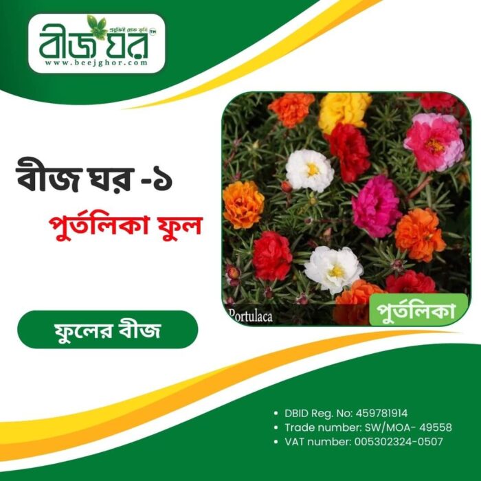 উচ্চফলনশীল পর্তুলিকা ফুল বীজ (হাইব্রিড)