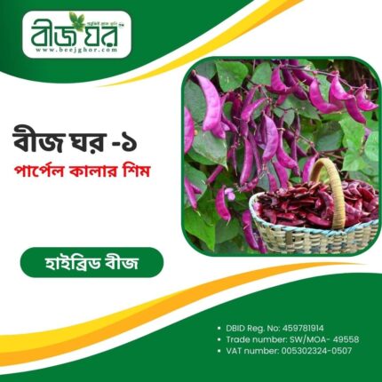 উচ্চফলনশীল পার্পেল কালার শিম বীজ