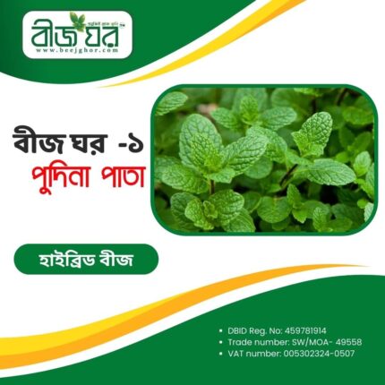 উচ্চফলনশীল পুদিনা পাতা বীজ (হাইব্রিড)