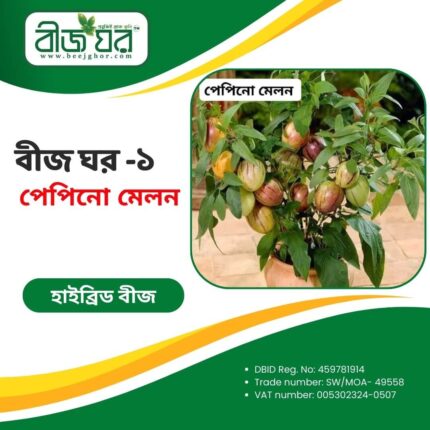 উচ্চফলনশীল পেপিনো মেলন বীজ (হাইব্রিড)