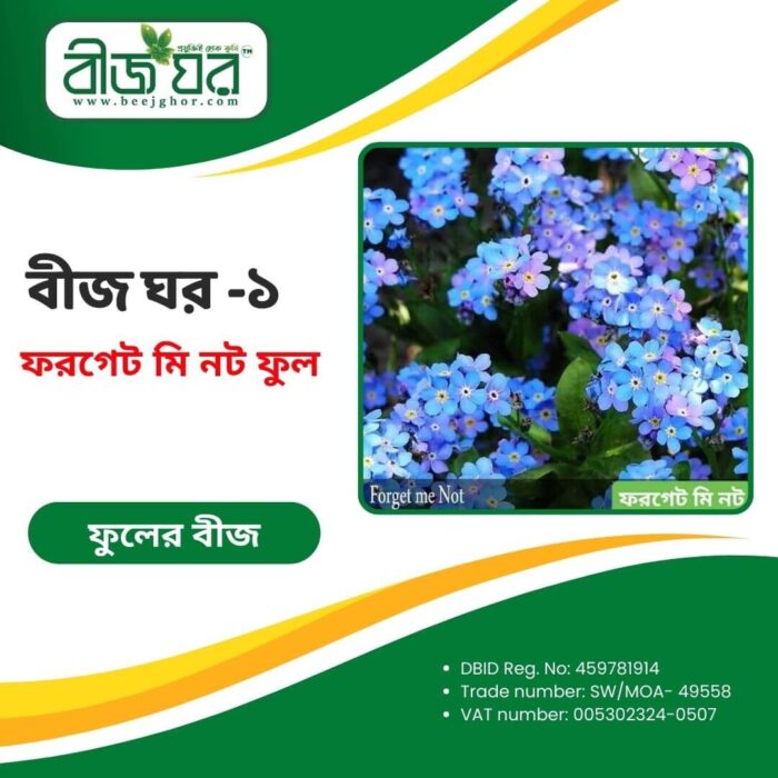 উচ্চফলনশীল ফরগেট মি নট ফুল বীজ (হাইব্রিড)