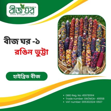উচ্চফলনশীল রঙিন ভুট্টা বীজ (হাইব্রিড)