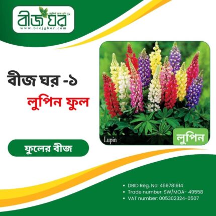 উচ্চফলনশীল লুপিন ফুল বীজ (হাইব্রিড)