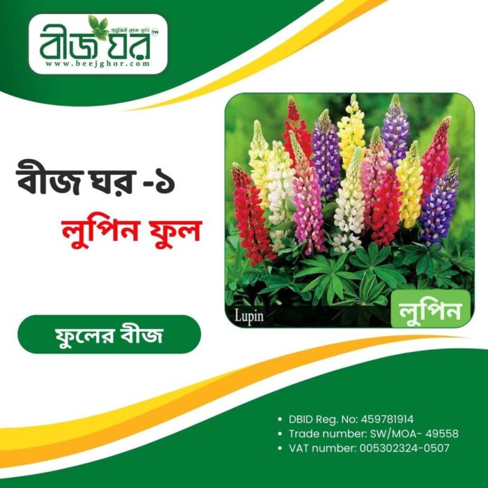 উচ্চফলনশীল লুপিন ফুল বীজ (হাইব্রিড)
