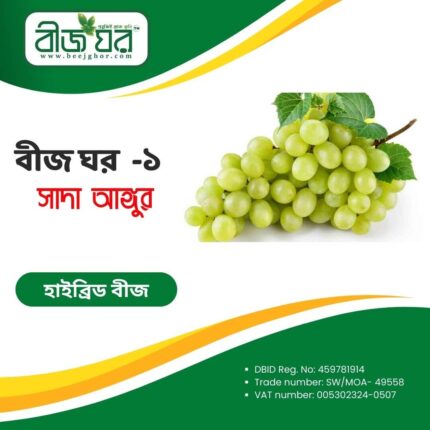 উচ্চফলনশীল সাদা আঙ্গুর বীজ (হাইব্রিড)