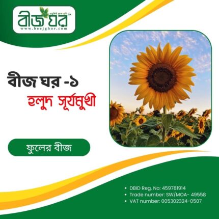 উচ্চফলনশীল সূর্যমুখী ফুল বীজ (হাইব্রিড)