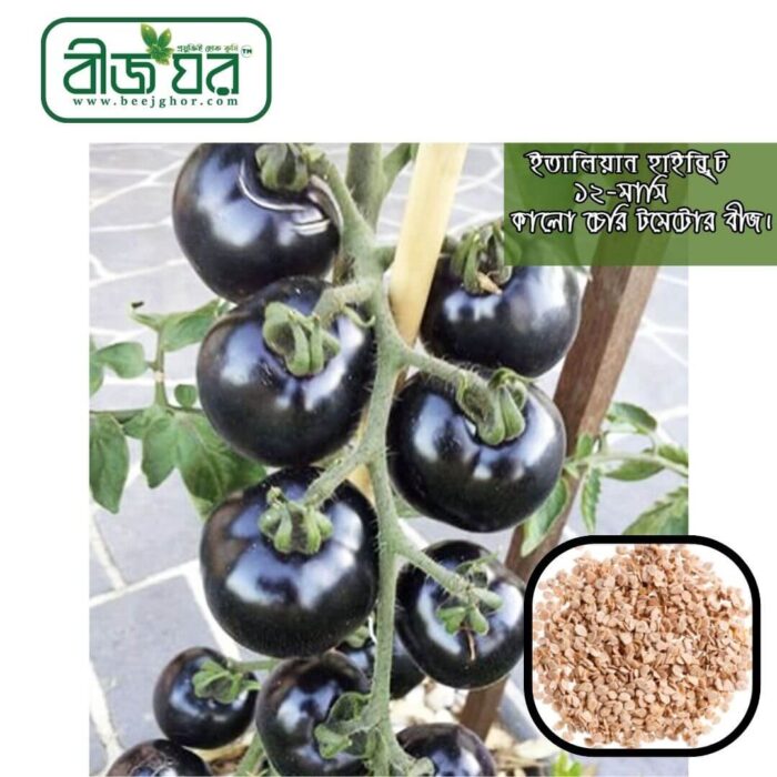 হাইব্রিড কালো টমেটো বীজ