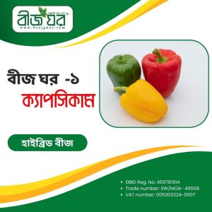 হাইব্রিড ক্যাপসিকাম বীজ