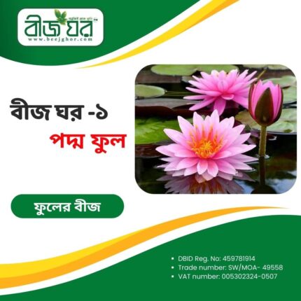 উচ্চফলনশীল পদ্ম ফুল বীজ