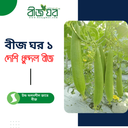 ধুন্দল বীজ