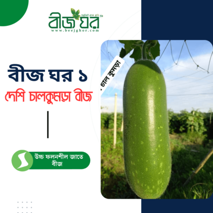 উচ্চ ফলনশীল দেশি জাতের চালকুমড়া বীজ