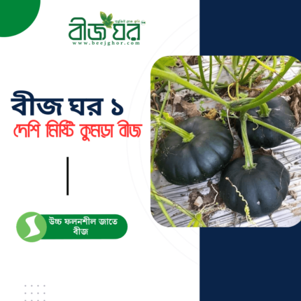 উচ্চফলনশীল দেশি জাতের মিষ্টি কুমড়া বীজ