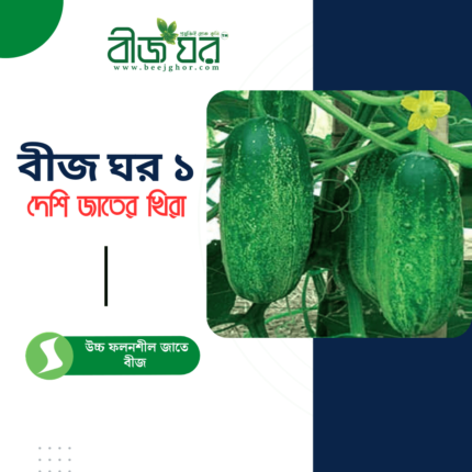 উচ্চ ফলনশীল দেশি জাতের খিরা বীজ