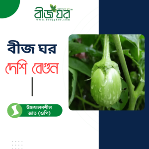 উচ্চ ফলনশীল দেশি জাতের বেগুন বীজ