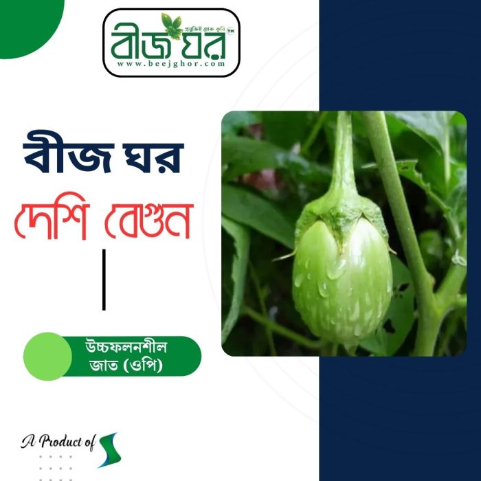 দেশি জাতের বেগুন বীজ