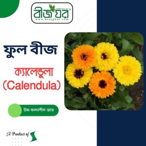 অরিজিনাল ক্যালেন্ডুলা (Calendula) ফুল বীজ