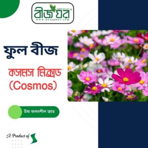 অরিজিনাল কসমস (Cosmos) ফুল বীজ