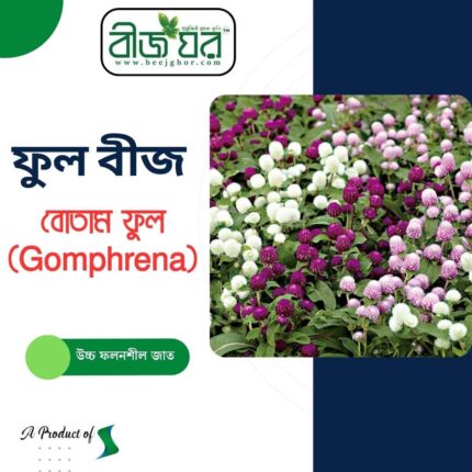 অরিজিনাল বোতাম ফুল (Gomphrena Globosa) ফুল বীজ