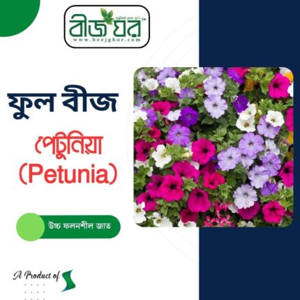 অরিজিনাল পেটুনিয়া (Petunia) ফুল বীজ