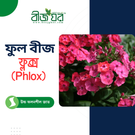 অরিজিনাল ফ্লক্স (Phlox) ফুল বীজ