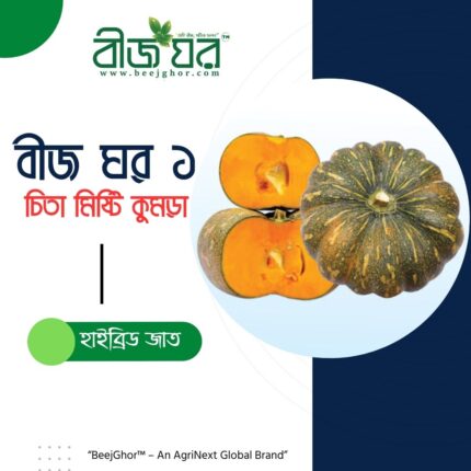 হাইব্রিড চিতা মিষ্টি কুমড়া বীজ - বীজ ঘর ১