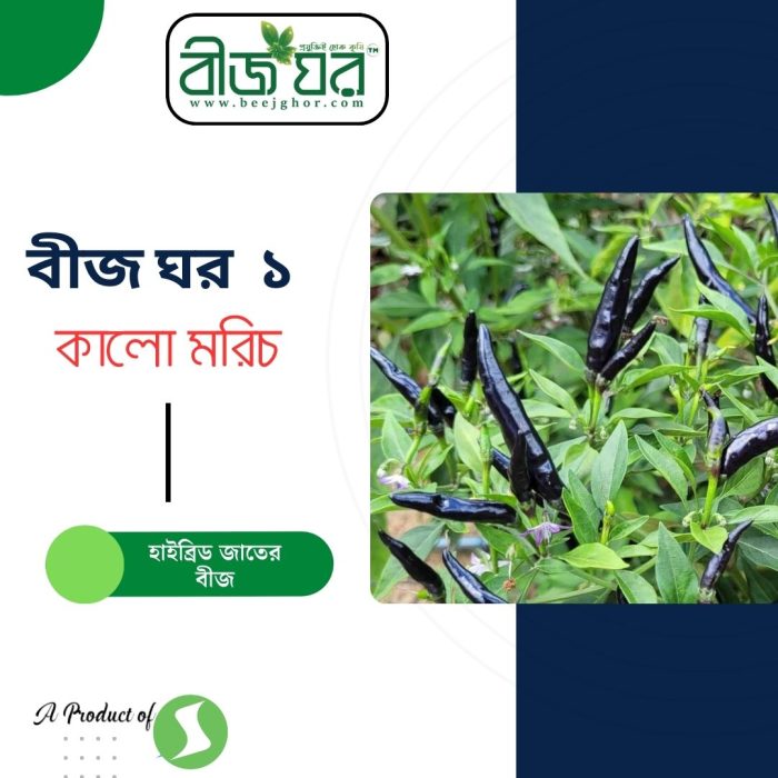 কালো মরিচ বীজ (হাইব্রিড)